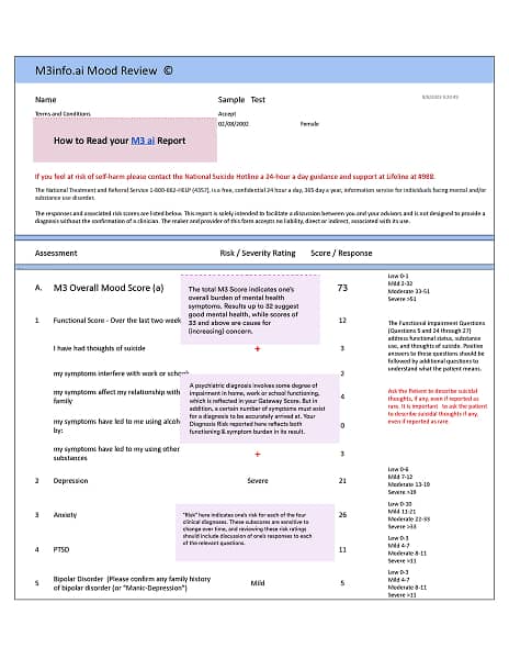 Report Preview